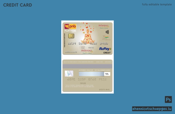 Mustervorschau der RuPay-Platin-Kreditkarte der indischen PNB Bank Patanjali